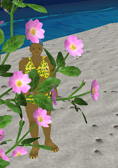 Iyoba behind a camelia bush on Little Zion