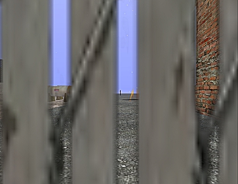 Through the fence