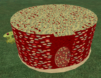 You can see the roof of Shaka's Red House at There is no Adult in the Room