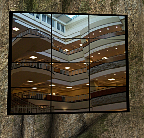 A photo montage in the library in a cave