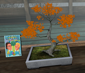 An orange bonsai tree in the house on Youth for Christ
