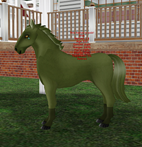 Sick horse on UTB Life