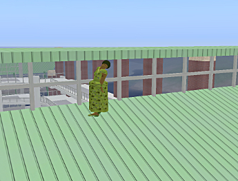 Iyoba stands on the roof of the U of Idaho Commons