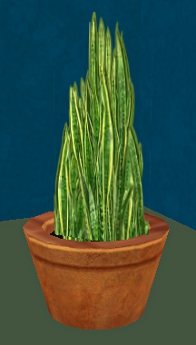 A snake plant in a dental office