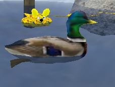 A duck without a name