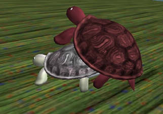 What two of my turtles did before we left, but not the two in the picture