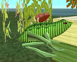 Two frogs beat as one, Rana (Green) and Tzipporah (red)
