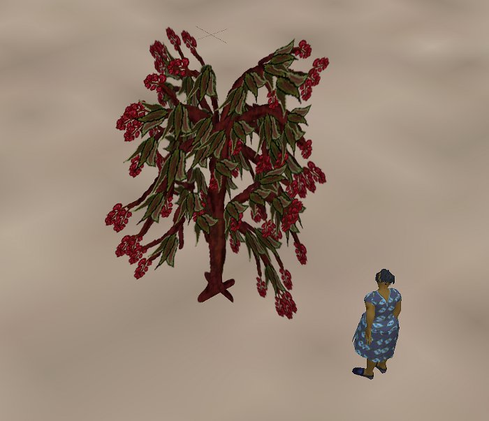 Iyoba and the Radix Tree