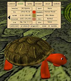 Pyhrrus formerly Useless, a sterile male turtle