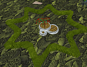 The turtles homing device and food. One last look