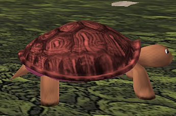 Lucifer, my first Petable Turtle returned to life
