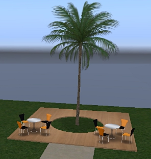 What's this palm tree doing here?