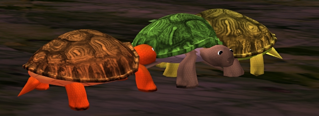 Three turtles together