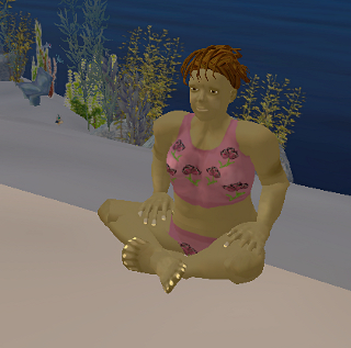 Time out for a swim