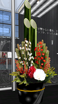 Beautiful tropical plants left to freeze in the snow on mk009 Saznami Lands