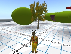 Here is the house and the store and a tree too.