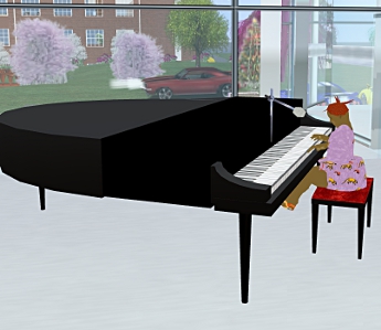 I play the piano