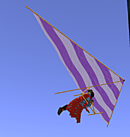 Iyoba and Petrichor take a hang glider ride