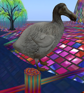 Dodo on the bridge