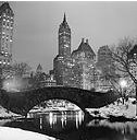 get a look at the frozen Big Apple