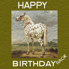 Spotted Horse Happy Birthday