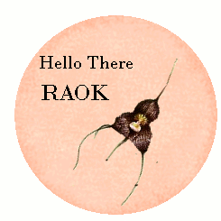black orchid on pink circle