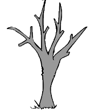 a tree for Tu B'Shevat