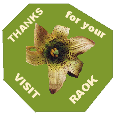 brown lily thankyou