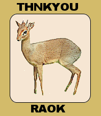 dikdik thankyou