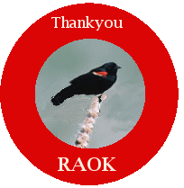 red winged black bird thankyou